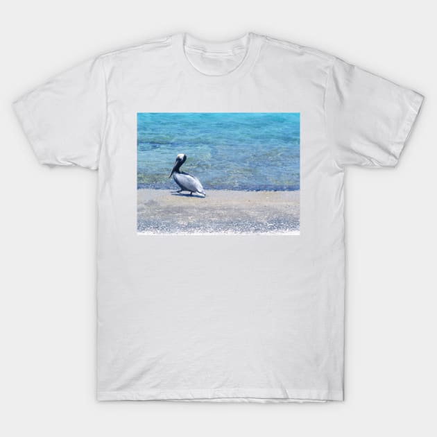 Strutting Pelican on the Beach T-Shirt by aldersmith